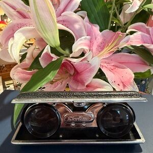 Skyline Silver and Black Binoculars